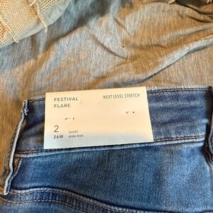 American Eagle Outfitters Blue Festival Flare Jeans